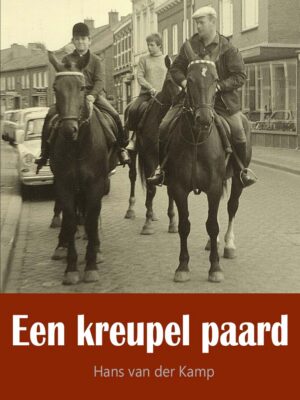Een kreupel paard